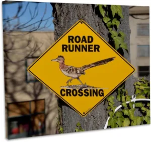 3dRose, USA, Arizona, Jerome, Road Runner Crossing sign, Museum Grade Canvas Wrap 20x16