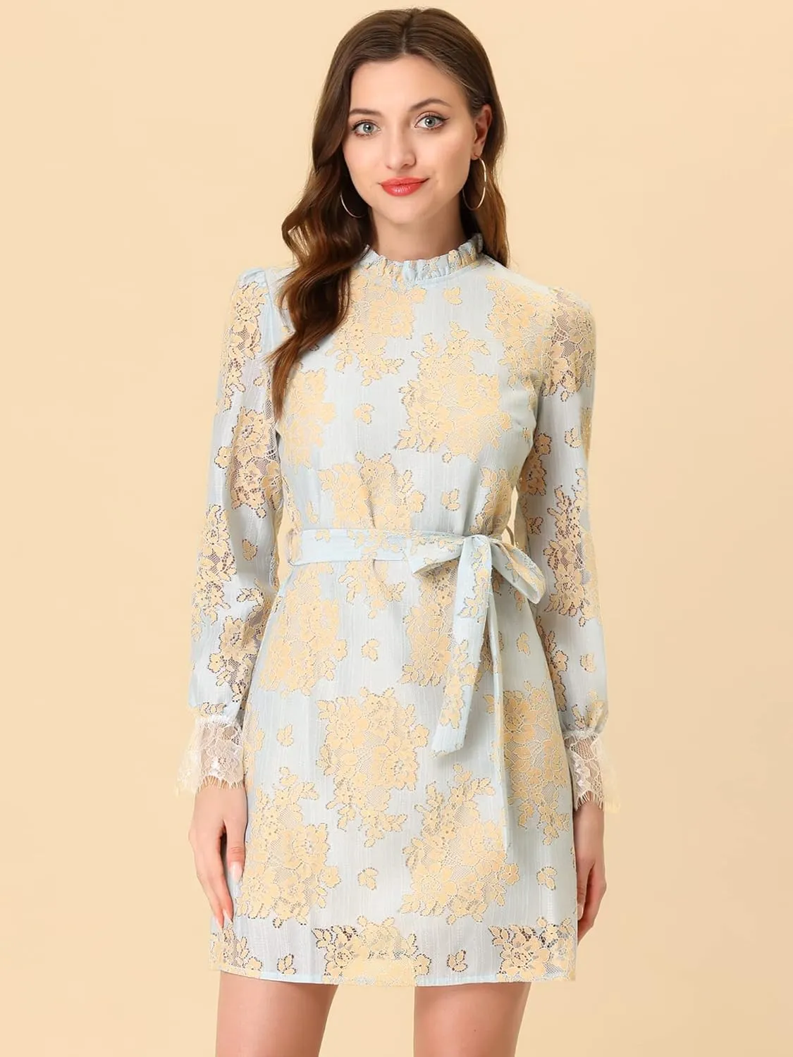 Allegra K Women's Cocktail Elegant Ruffle Crew Neck Floral Lace Shift Dress