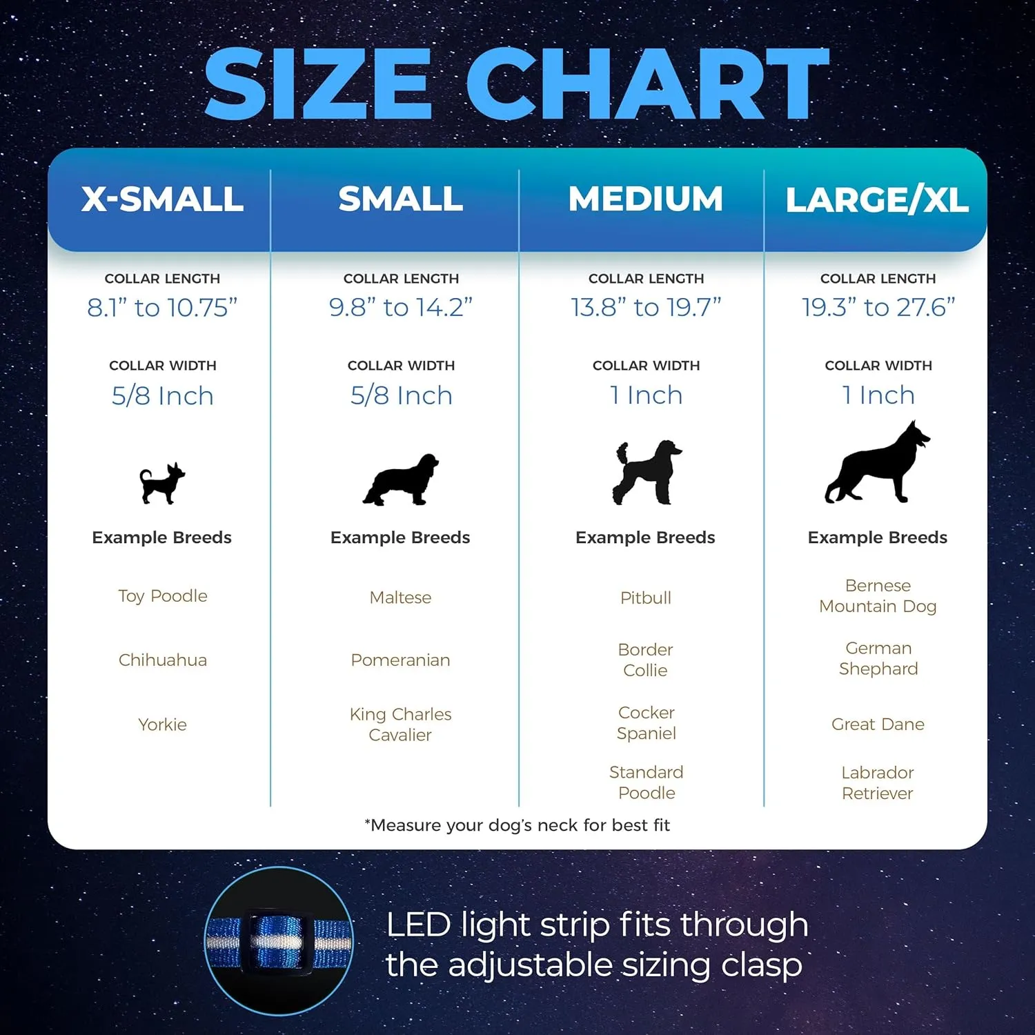 Blazin Light Up Dog Collar - The Original LED Dog Collar - USB Rechargeable - Waterproof - 1,000 Feet of Visibility - Dog Collar Light for Small, Medium, Large Dogs - US Brand