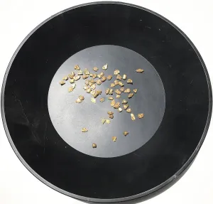 Jackpot Gold & Precious Gem Paydirt Gold Panning Pay Dirt Bag – Gold Prospecting Concentrate