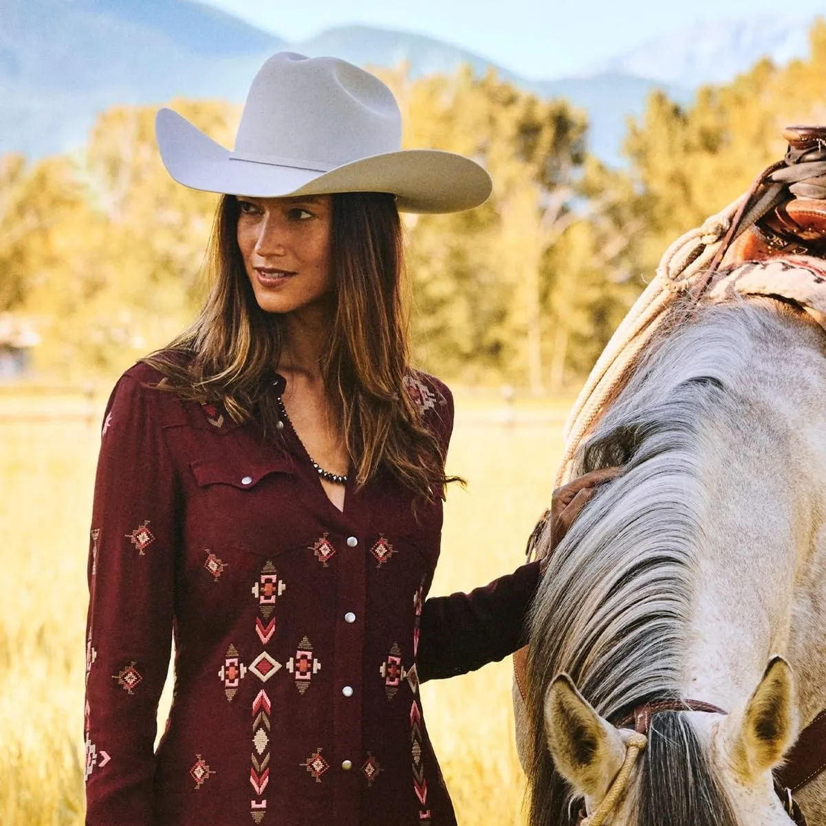 Stetson 7540 Skyline 6X Fur Cowboy Hat