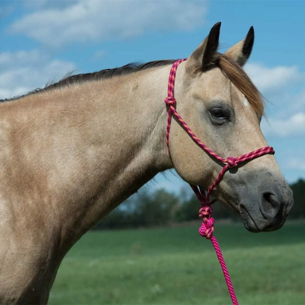 Weaver Leather Diamond Braid Rope Halter and Lead